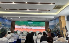 Điều gì đang tái định hình thị trường bất động sản du lịch Việt Nam?