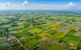 Cả nước điều chỉnh hơn 1,12 triệu ha đất nông nghiệp, tạo dư địa cho hạ tầng và công nghiệp đến năm 2030