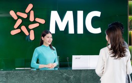 Cổ đông MIC sắp nhận cổ tức tiền mặt 10%, tổng giá trị hơn 211 tỷ đồng