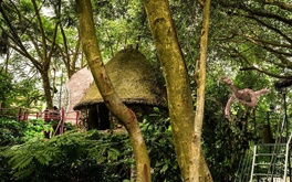 Tree house hidden in Hanoi jungle enraptures travelers