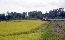 Đắk Lắk: Chuyển đổi mục đích sử dụng hơn 14ha đất trồng lúa