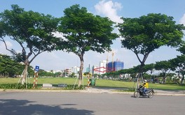 Đà Nẵng: Báo cáo Thủ tướng vụ trúng đấu giá 650 tỷ không được nhận đất