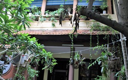 "Lạc" vào ngôi nhà vườn độc - cổ nhất Hà Thành