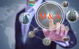 Lộ diện hàng loạt thương vụ M&A lớn trên thị trường bất động sản Việt Nam trong 6 tháng đầu năm