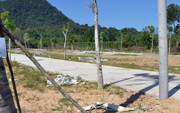 Yêu cầu xử lý hình sự các vi phạm về đất đai tại Phú Quốc