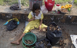 Liên Hợp Quốc: Hàng trăm triệu người sống tại các đô thị châu Á đang thiếu dinh dưỡng