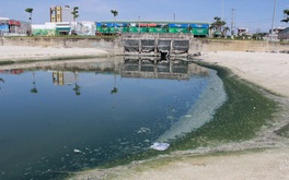 Đà Nẵng: Xử phạt 9 khách sạn, dự án xả nước gây ô nhiễm môi trường biển