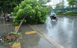 Dự báo thời tiết ngày 14/6/2020: Hà Nội mưa dông trên diện rộng