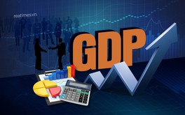 TS. Vũ Đình Ánh: Nhìn nhận vai trò của doanh nghiệp qua con số tăng trưởng GDP 6 tháng đầu năm