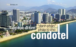 LS. Lê Cao: Nếu luật chưa được chuẩn hóa, mọi giải pháp “phần ngọn“ chỉ là tạm thời