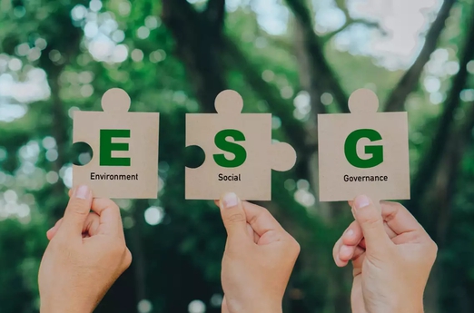 Thúc đẩy thực hành ESG: Nền móng cho thị trường vốn xanh Việt Nam