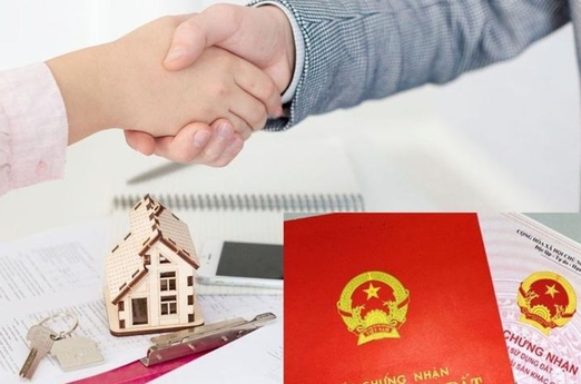Cập nhật mẫu hợp đồng mua bán đất thông dụng nhất hiện nay