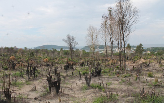 Chính phủ yêu cầu xử lý cán bộ để xảy ra sai phạm đất đai tại Phú Quốc