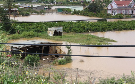 Lâm Đồng: Thiệt hại lớn sau bão số 9