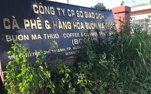 Đấu giá Sàn Giao dịch cà phê Buôn Ma Thuột