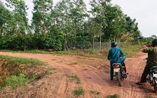 Đắk Lắk: Xà xẻo đất rừng bán trái phép