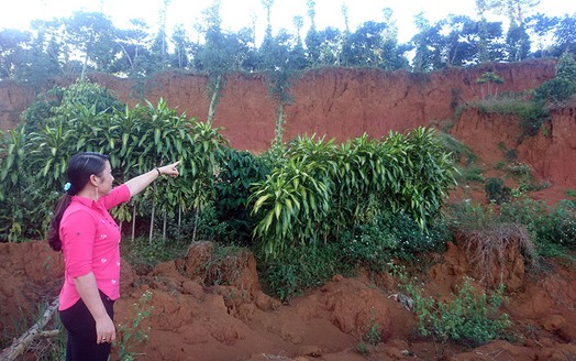 Lâm Đồng: Người dân kêu cứu vì dự án khu dân cư Bảo Lộc Capital gây sạt lở đất, cây trồng