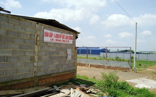 Đồng Nai: Cần xử lý nghiêm tình trạng phân lô bán nền ở cụm công nghiệp Phước Tân