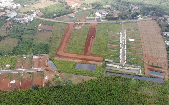 Lâm Đồng: Siết chặt quản lý bất động sản, ngăn chặn "cò đất" gây nhiễu loạn thị trường