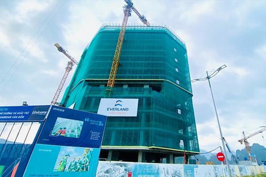 Everland (EVG): Lãi ròng quý IV cao gấp 10 lần cùng kỳ, đạt hơn 60 tỷ đồng