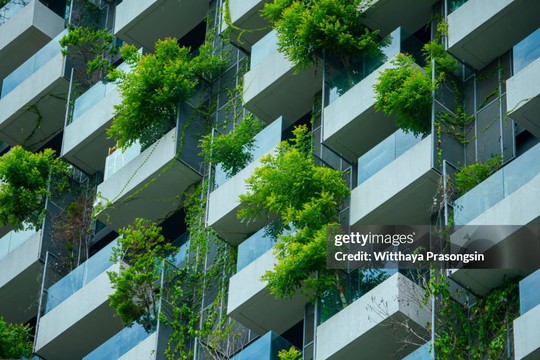 Nhu cầu 50 triệu nhà ở tại châu Phi và thách thức môi trường từ hoạt động xây dựng: Cần gỡ khó cho tài chính "xanh"