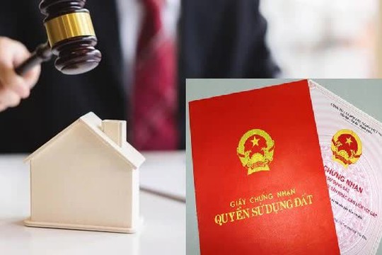 Hà Nội: Sắp đấu giá 17 thửa đất tại xã Ứng Thiên, giá khởi điểm từ 11,8 triệu đồng/m2