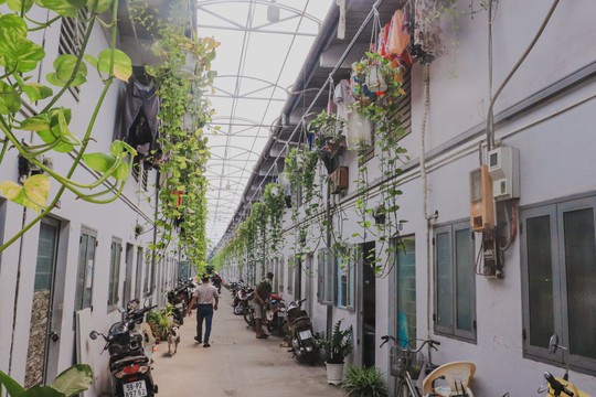 10 kinh nghiệm thuê phòng trọ hay không nên bỏ qua