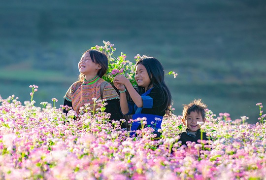 Hành trình bản sắc: Top 5 điểm đến miền Bắc không nên bỏ lỡ cho trải nghiệm văn hóa bản địa
