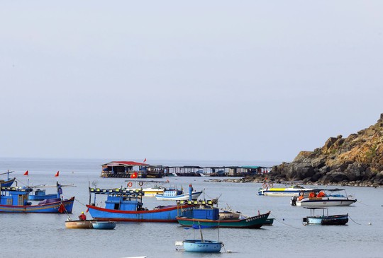 Photo Travel: Phiên chợ cá sớm ở làng chài Nhơn Lý