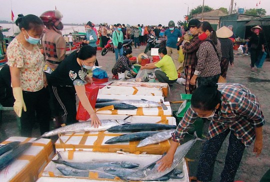 Chợ cá làng tôi: Đậm đà vị biển