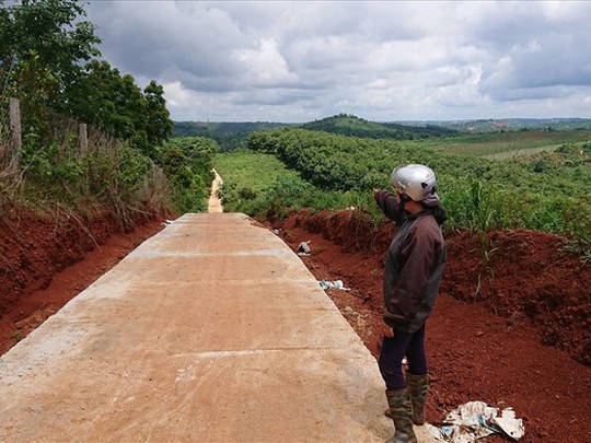 Vụ nắn đường vào rẫy của sếp doanh nghiệp ở Đắk Nông: Truy thu gần 700 triệu đồng