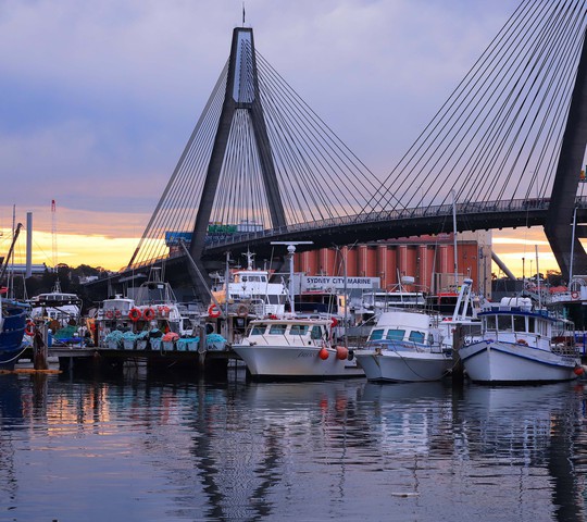 Photo Travel: Chợ cá Sydney, "thiên đường" hải sản tươi sống Nam bán cầu