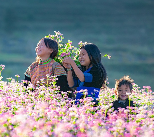 Hành trình bản sắc: Top 5 điểm đến miền Bắc không nên bỏ lỡ cho trải nghiệm văn hóa bản địa