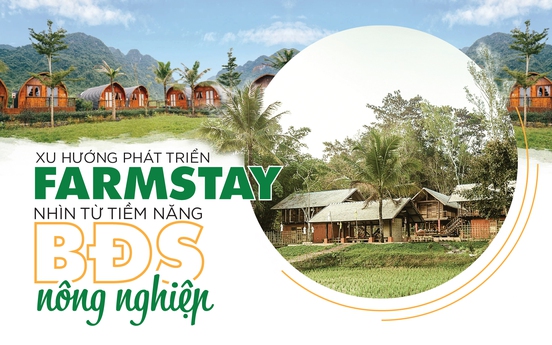 Xu hướng phát triển Farmstay: Nhìn từ tiềm năng BĐS nông nghiệp