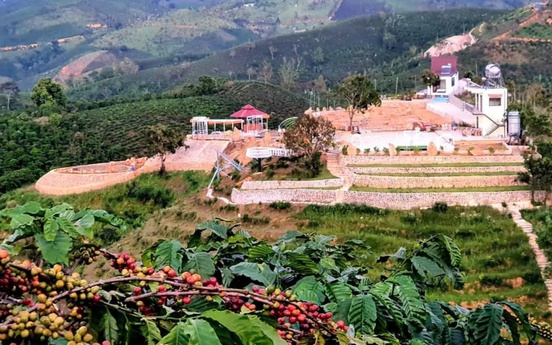 Sai phạm đất đai tại Bảo Lâm (Lâm Đồng): Bắt giữ nguyên phó chủ tịch huyện và hàng loạt cán bộ