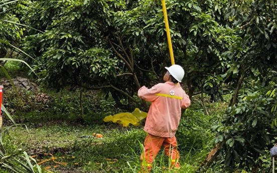 Hoàn thành bảo dưỡng Đường dây 220kV Trung tâm Điện lực Long Phú – Cần Thơ, sẵn sàng đảm bảo vận hành mùa mưa bão