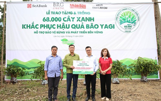 SeABank và Tập đoàn BRG chung tay trồng 68.000 cây phủ xanh gần 20ha rừng tại Lào Cai