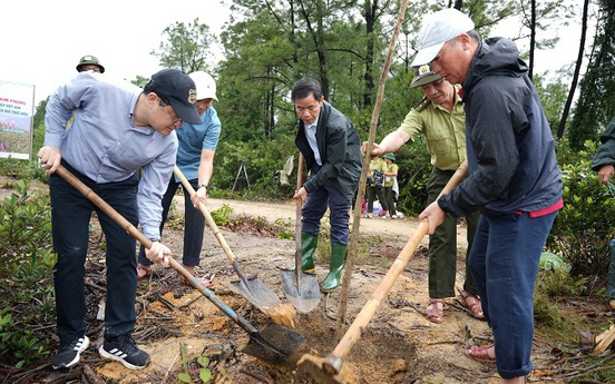 Thừa Thiên Huế: Trồng cây tôn tạo cảnh quan núi Kim Phụng