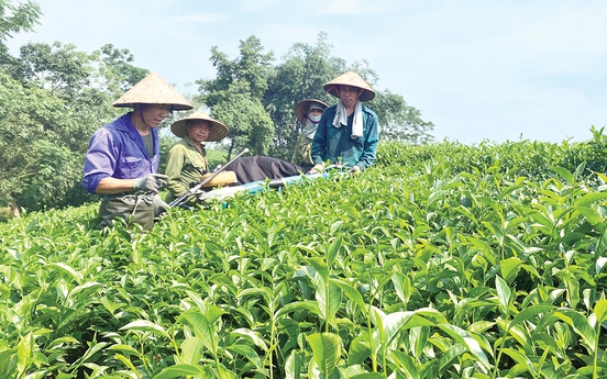 Phú Thọ: Đảm bảo đất ở, đất sản xuất cho đồng bào dân tộc thiểu số