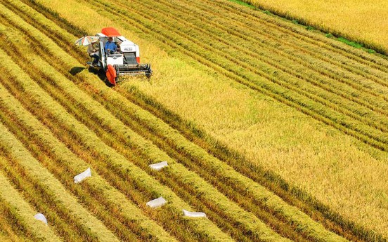 Năm 2025: Người dân có đất nông nghiệp thuộc diện thu hồi sẽ được bồi thường ra sao?