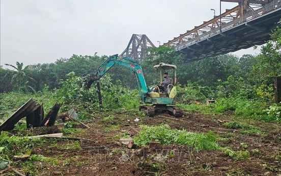 Hà Nội: Giải tỏa vi phạm đất bãi bồi ven sông để trồng hoa