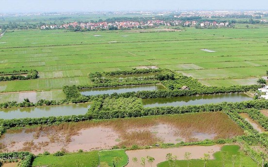 LS. Phạm Thanh Tuấn: Nhiều hoạt động khai thác đất nông nghiệp được "danh chính ngôn thuận"