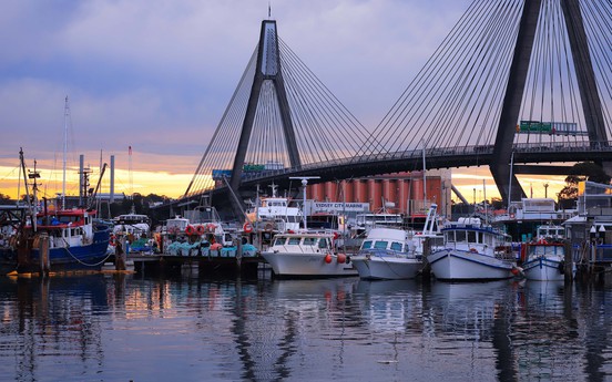 Photo Travel: Chợ cá Sydney, "thiên đường" hải sản tươi sống Nam bán cầu