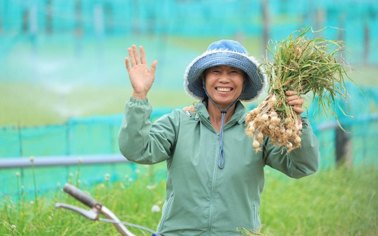 Nam Ngư cùng nông dân đảo Lý Sơn phát triển kinh tế địa phương