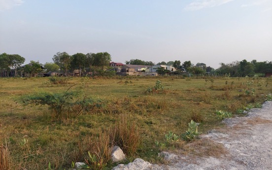 Người đàn ông mua đất trồng cây bị cả xóm cười chê, một năm sau nhận về số tiền bạc tỷ