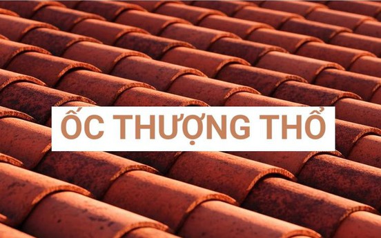 Mệnh Ốc Thượng Thổ là gì, hợp mệnh gì, màu nào, hướng nào theo phong thủy?