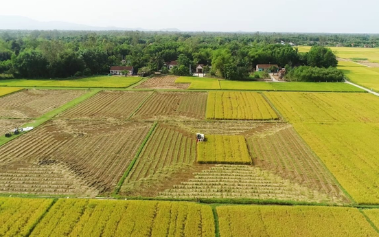 Kể từ nay, các trường hợp này sẽ được kéo dài thời hạn miễn thuế sử dụng đất nông nghiệp
