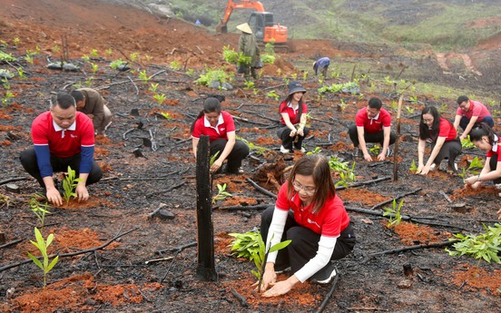 SeABank hỗ trợ trồng gần 671 nghìn cây xanh tại Hà Tĩnh, vượt mục tiêu 1 triệu cây xanh