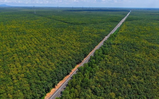 Vỡ tiến độ tuyến đường 2.300 tỷ đi xuyên rừng cao su ở miền Nam