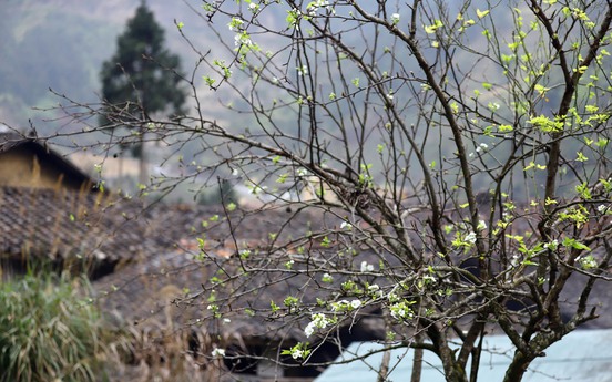 Photo Travel: Lũng Cẩm, ngôi làng cổ giữa miền đá xám